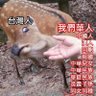 あさ's profile picture