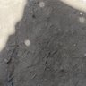 black 的头像