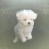 黒木雄二's profile picture