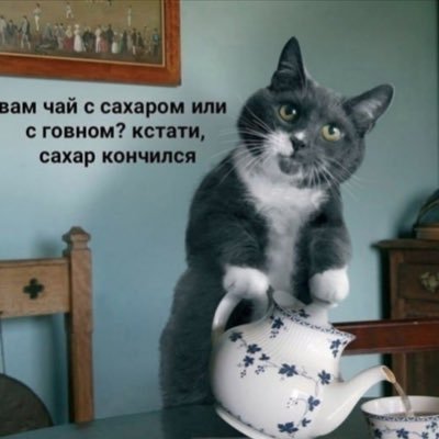 chaysgovnom2's profile picture