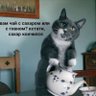 чай с говном 2 profil fotoğrafı