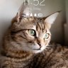 Profilbild von Nana_2sure