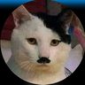 Profilbild von Richal