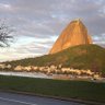 Lidia M T Oliveira's profile picture