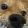 Profilbild von Ligeirin
