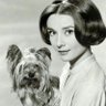 Audrey's profile picture