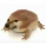 Profilbild von ASJ
