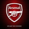 Fada Mert's profile picture