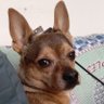 Гугель Майлович's profile picture