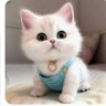 Rae profil fotoğrafı