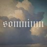 Profilbild von Somnium Digital