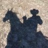 Seyagyi's profile picture