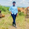 Glosh Muhango's profile picture