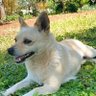 Gius profil fotoğrafı