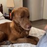 adi profil fotoğrafı
