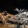 Фото профиля てこ