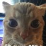 Niño polla:)'s profile picture