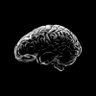 Active Brains 🧠 profil fotoğrafı