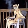 pancitasuave's profile picture
