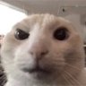 Profilbild von barry
