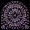 C.C's profile picture