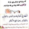 Sayed Abdullah's profile picture