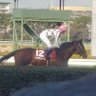 競馬民's profile picture