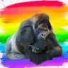Masami's profile picture