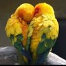 Фото профиля I'm your Lover ❤️