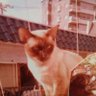Fuzio profil fotoğrafı