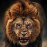 Profilbild von eduvious🦁💛❤️