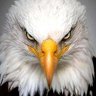 Аджи С. Соэратмаджи's profile picture