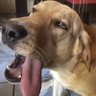 こうちゃん 的头像