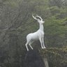 ksj's profile picture