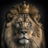 Profilbild von Aslan Bey 🦁