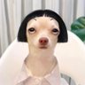 มัวกำลังเบลอออออ 🐼's profile picture