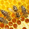 AARON AR profil fotoğrafı