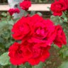 Фото профиля Happy