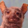 OHC (אוסקר) 🇮🇱's profile picture