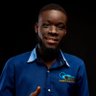 Faith Kobla Amegashie's profile picture