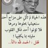 zaid ali 的头像