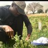 City Farmer 🌾 profil fotoğrafı