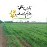 ابومراد 的头像