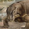 Lystrosaurus profil fotoğrafı