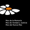 Ana María Massi's profile picture