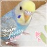 あいさ profil fotoğrafı
