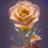 ابو عمر السامرائي's profile picture