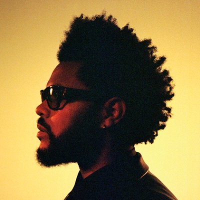 Eclipse🌗's profile picture