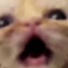 Profilbild von the