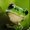 Plumperquatsch profil fotoğrafı